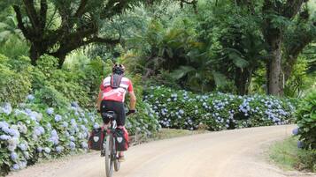 Un ciclista en un camino de tierra rodeado de vegetación exuberante y plantas en flor.