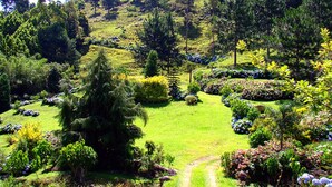 Un exuberante jardín con diversos árboles y arbustos, un área central con césped y un sendero de tierra que atraviesa el paisaje.