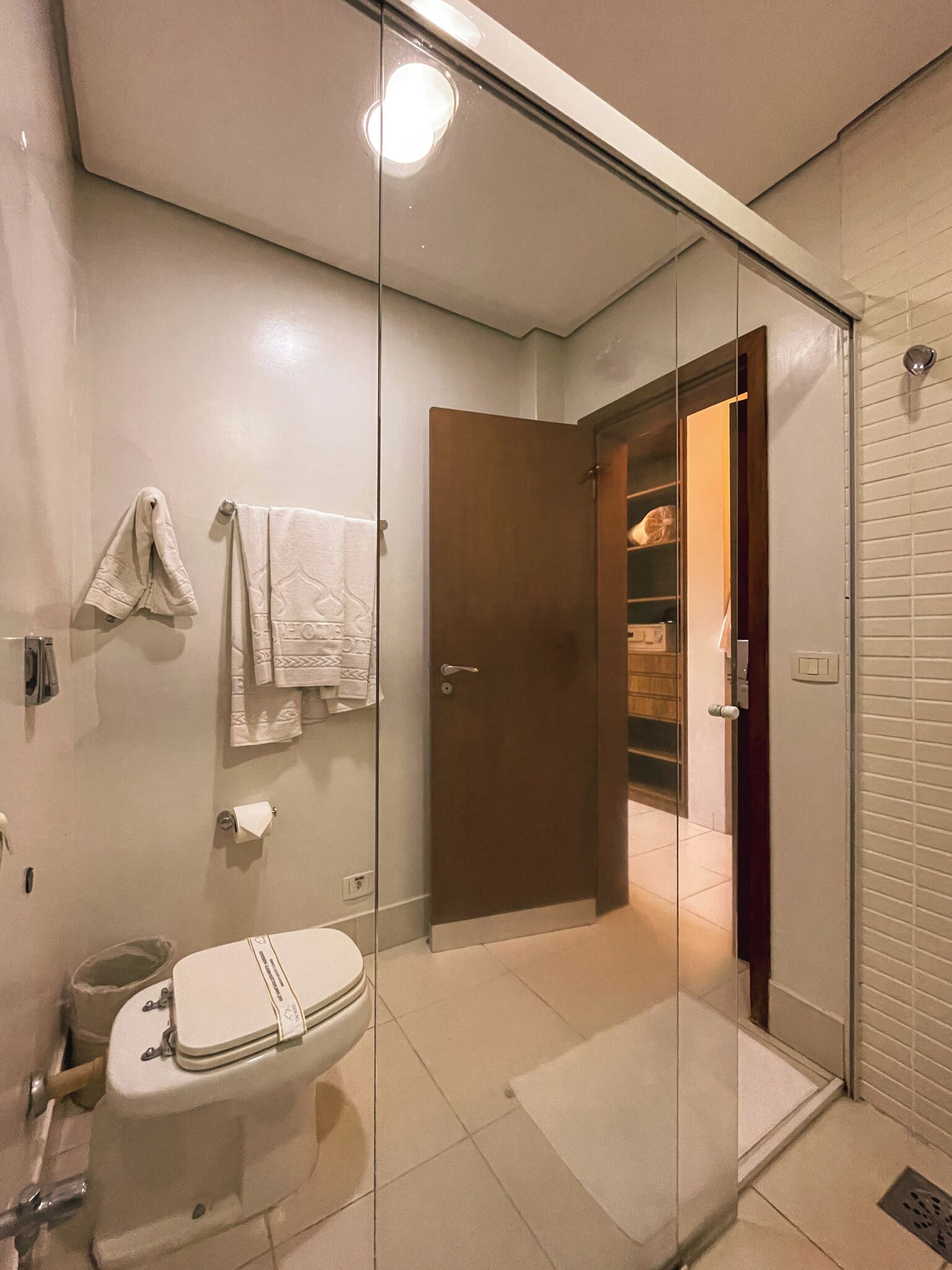 A modern bathroom with a glass shower enclosure, a toilet, and a towel rack.