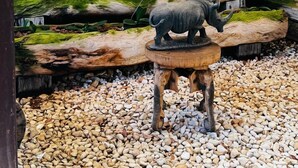 Un terrarium contenant une statue de rhinocéros, diverses plantes et une structure en forme de tronc d’arbre en bois.