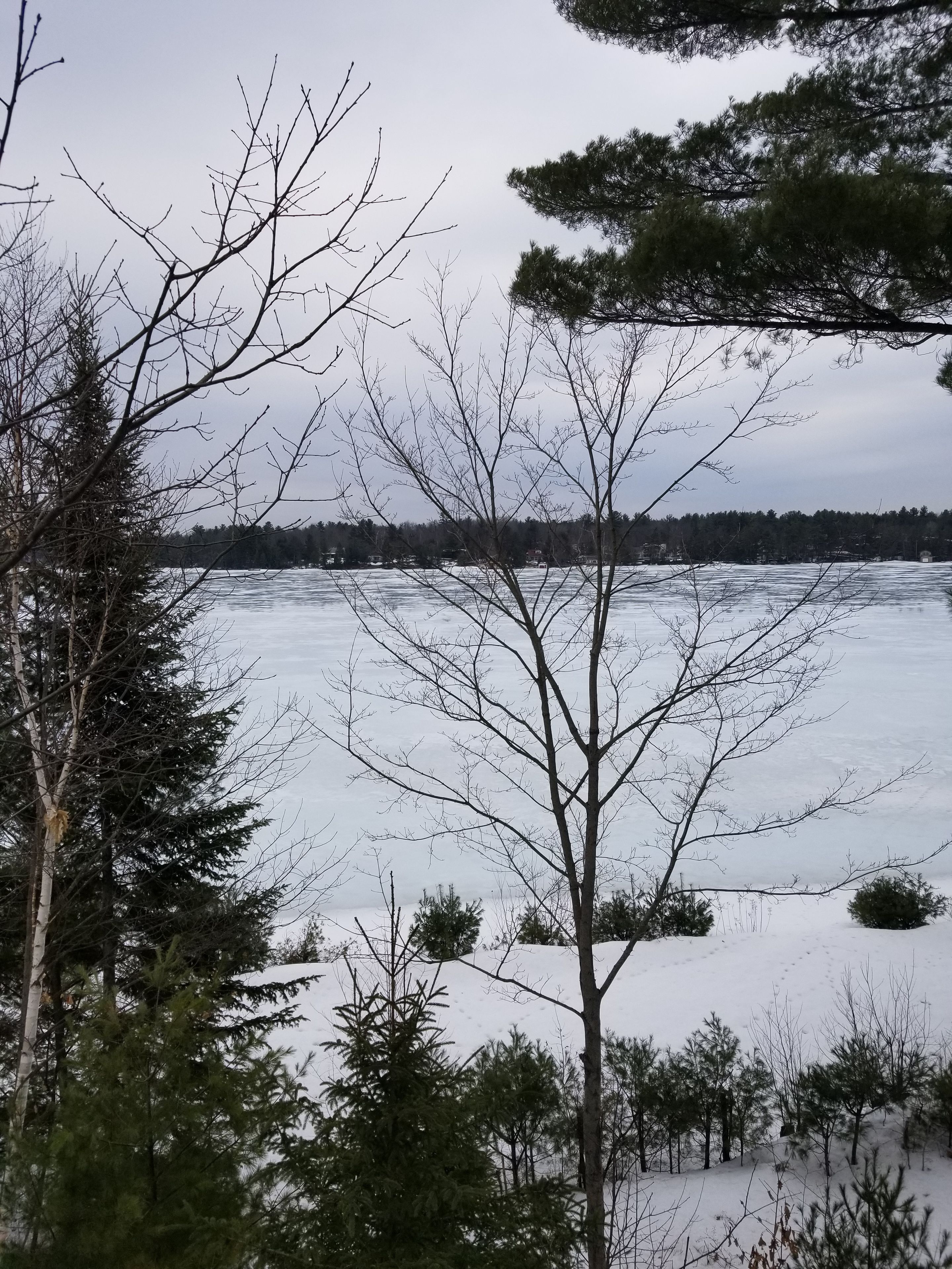 Un paysage enneigé avec des arbres et une étendue d’eau gelée.