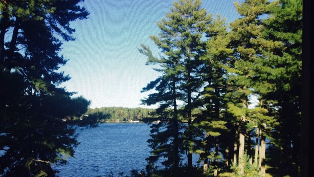 A view of a lake surrounded by trees. - Pinedale Inn (Gravenhurst)