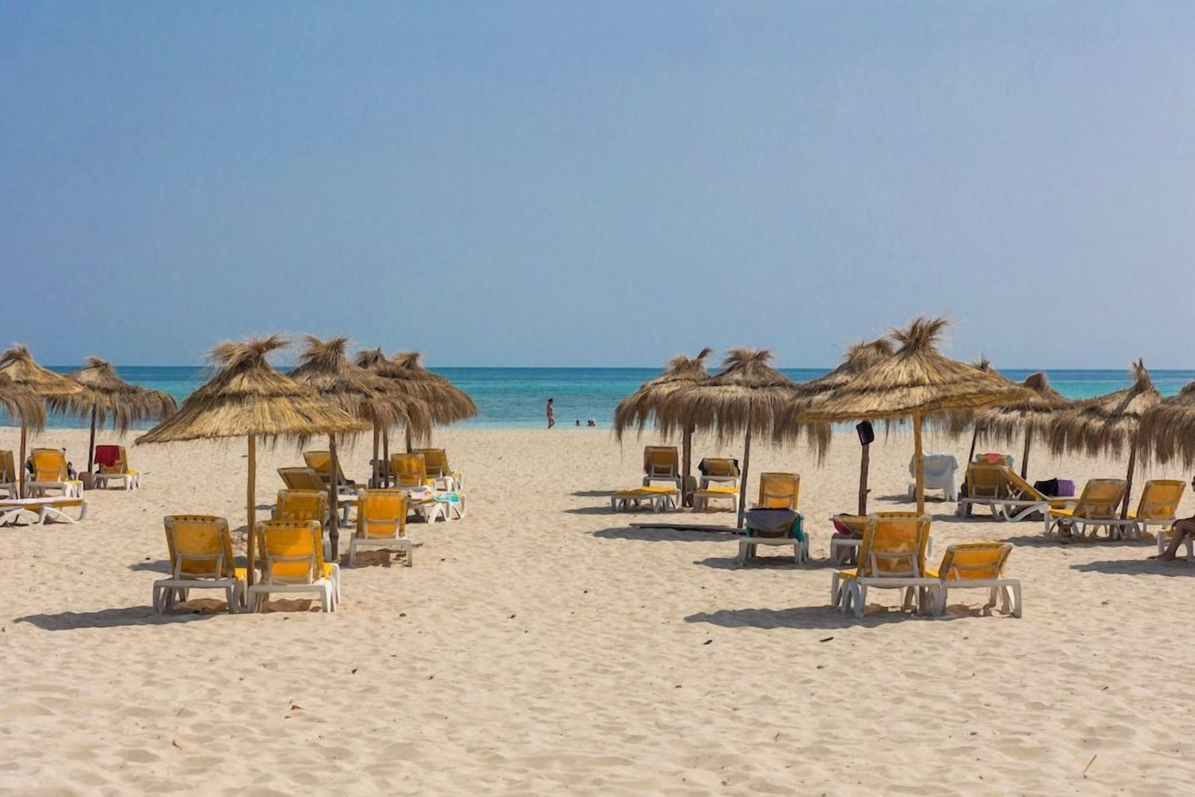 Une plage bordée de rangées de chaises longues et d’ombrelles en chaume, un ciel dégagé et l’océan en toile de fond.