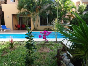 A pool surrounded by lush greenery and a building with a beige exterior. - La Salamandra (Puerto Aventuras)