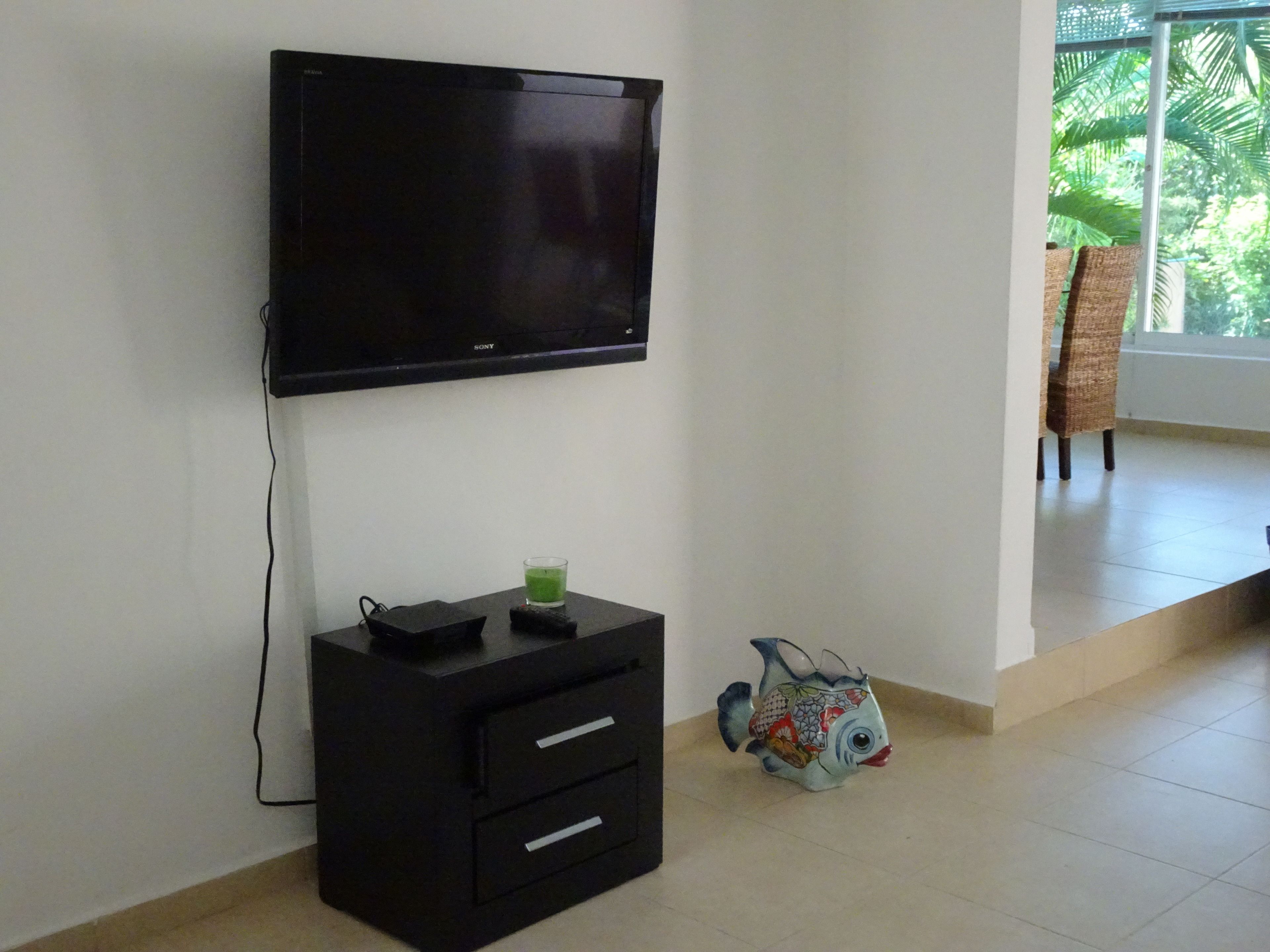 Foto - La Salamandra