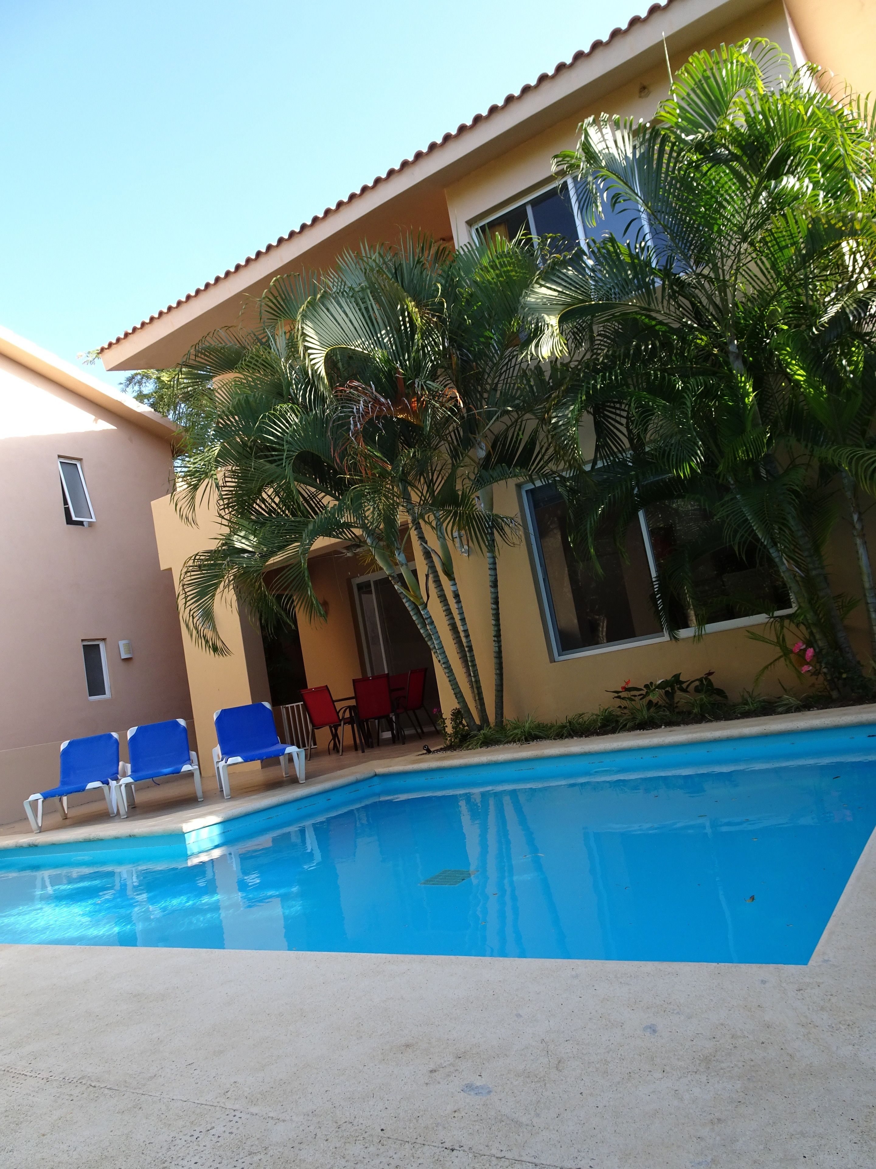 Foto - La Salamandra