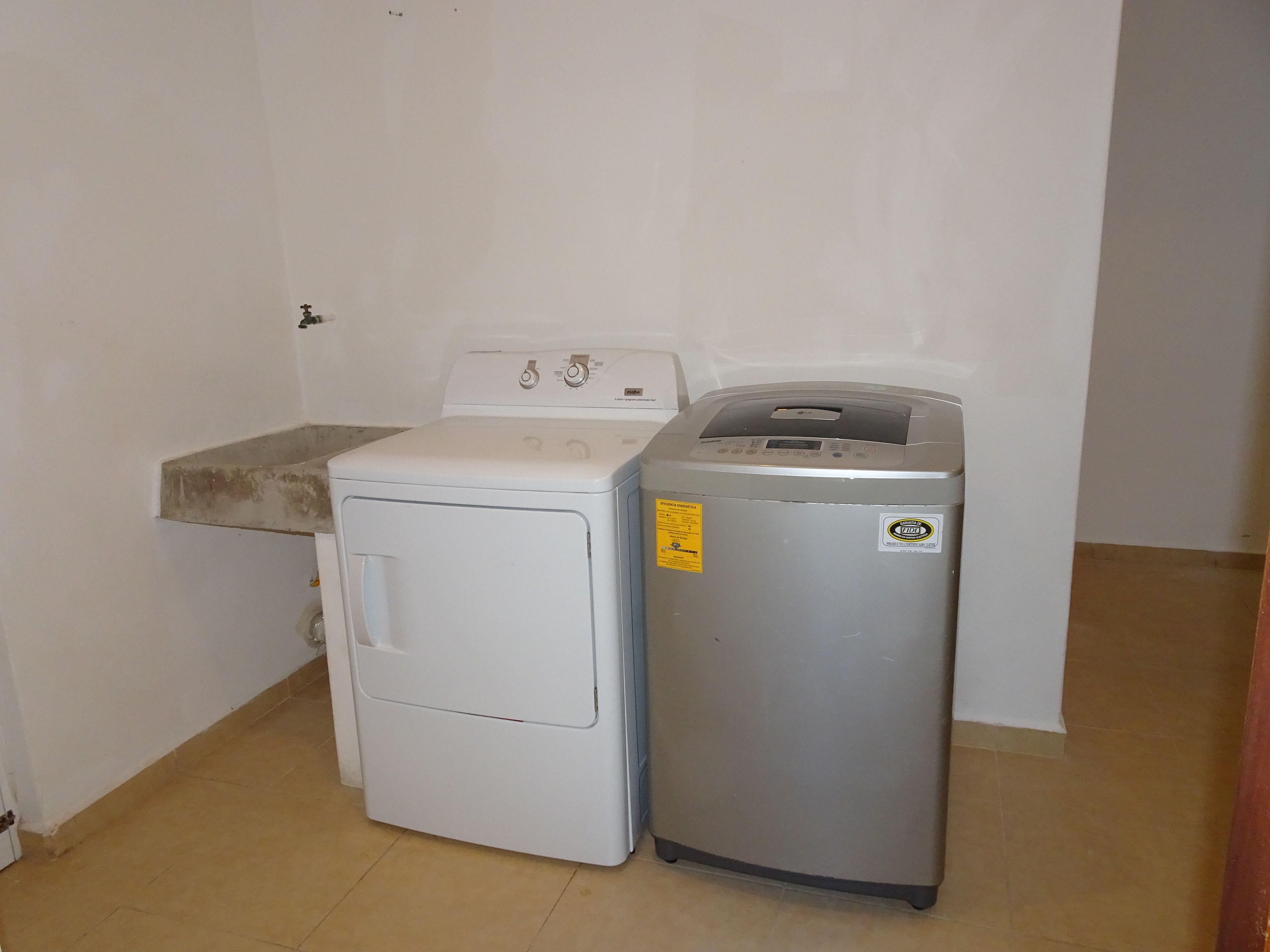 Foto - La Salamandra