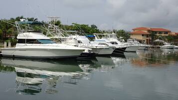 Paseos en bote
