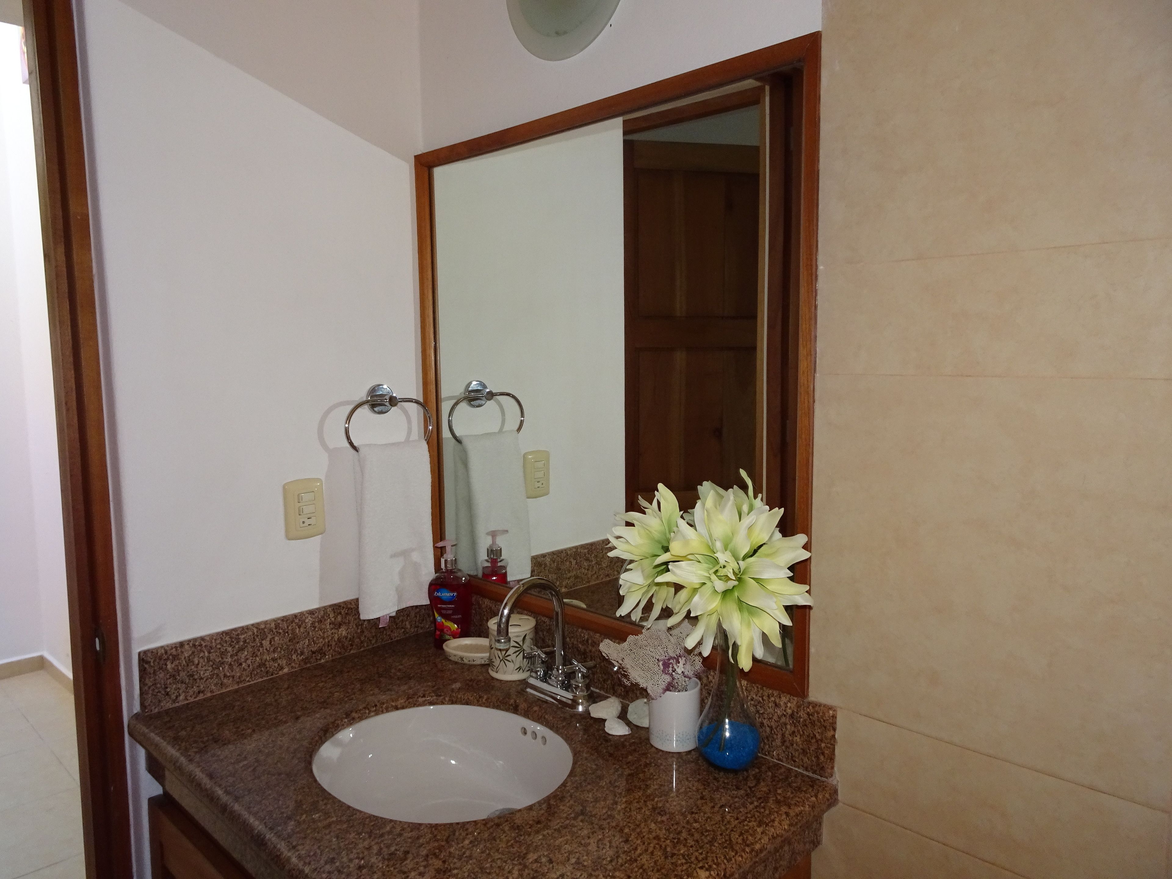 Foto - La Salamandra