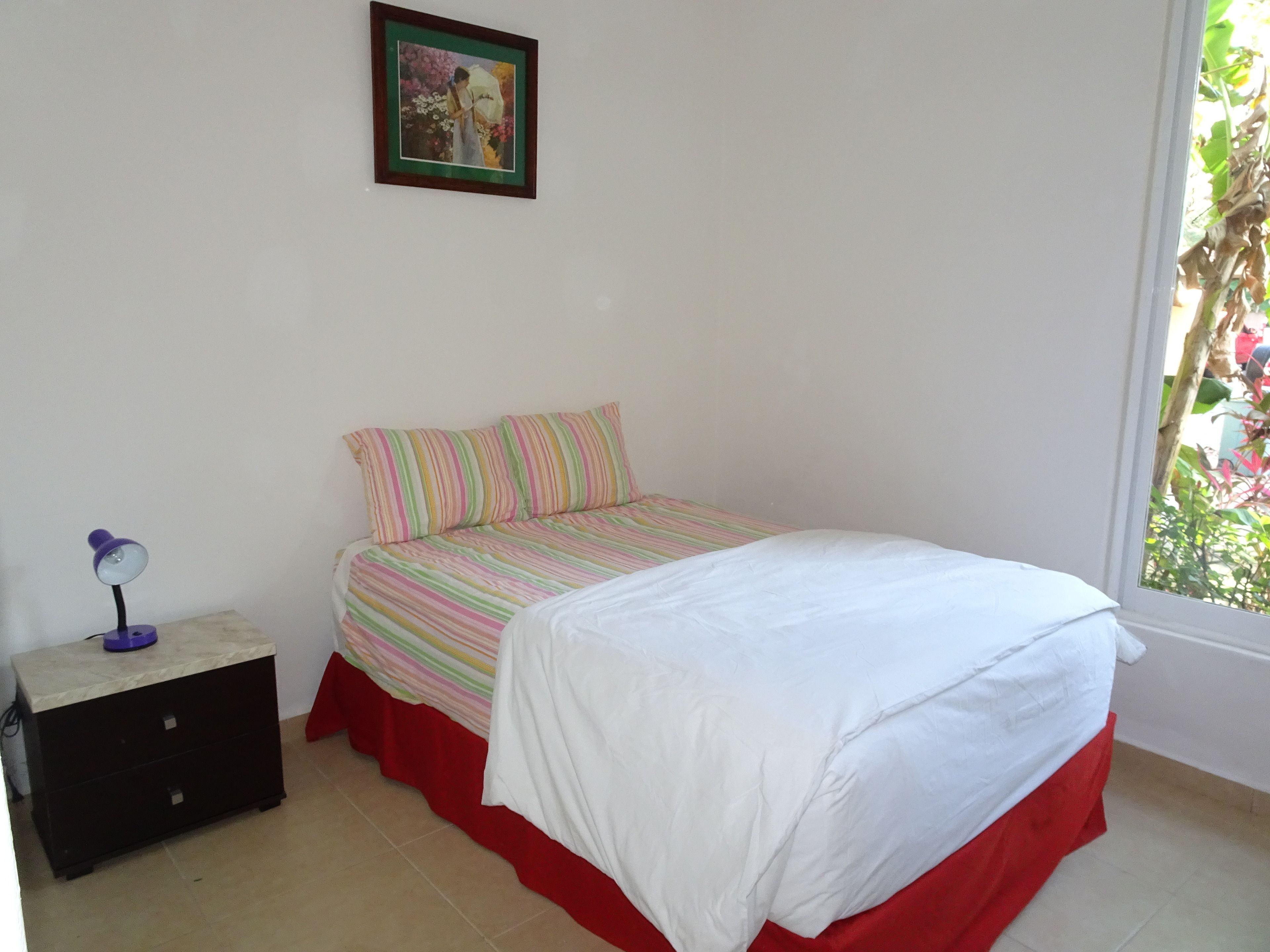 Foto - La Salamandra