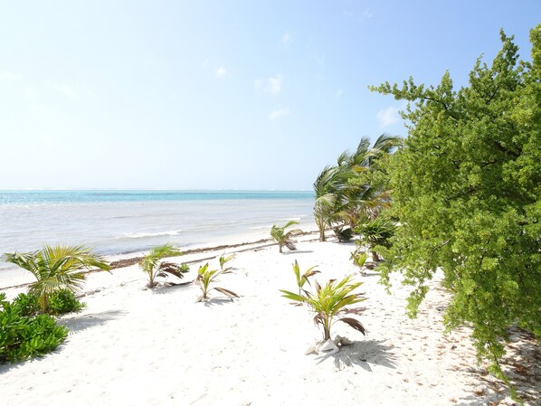 Beach nearby - La Salamandra (Puerto Aventuras)