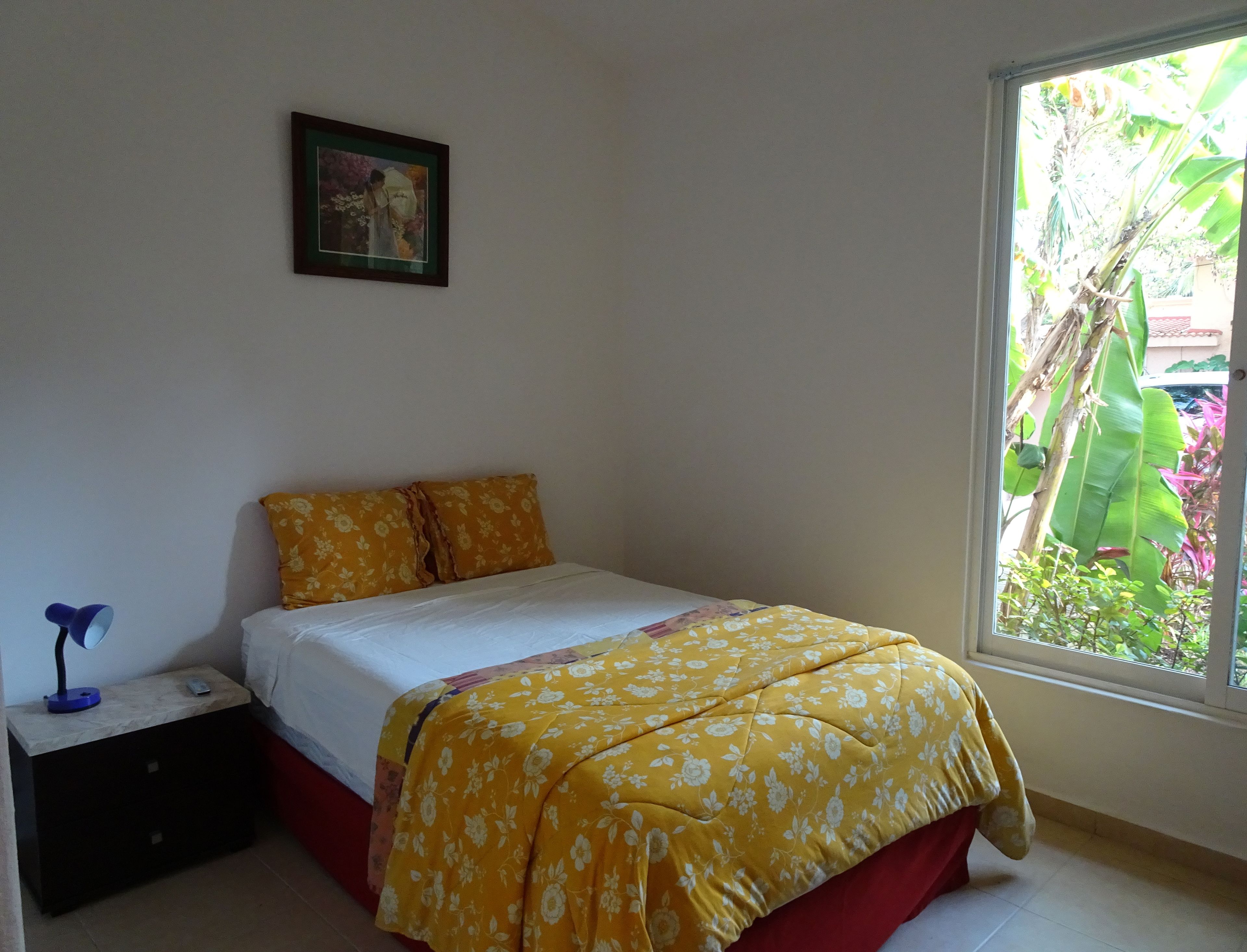 Foto - La Salamandra