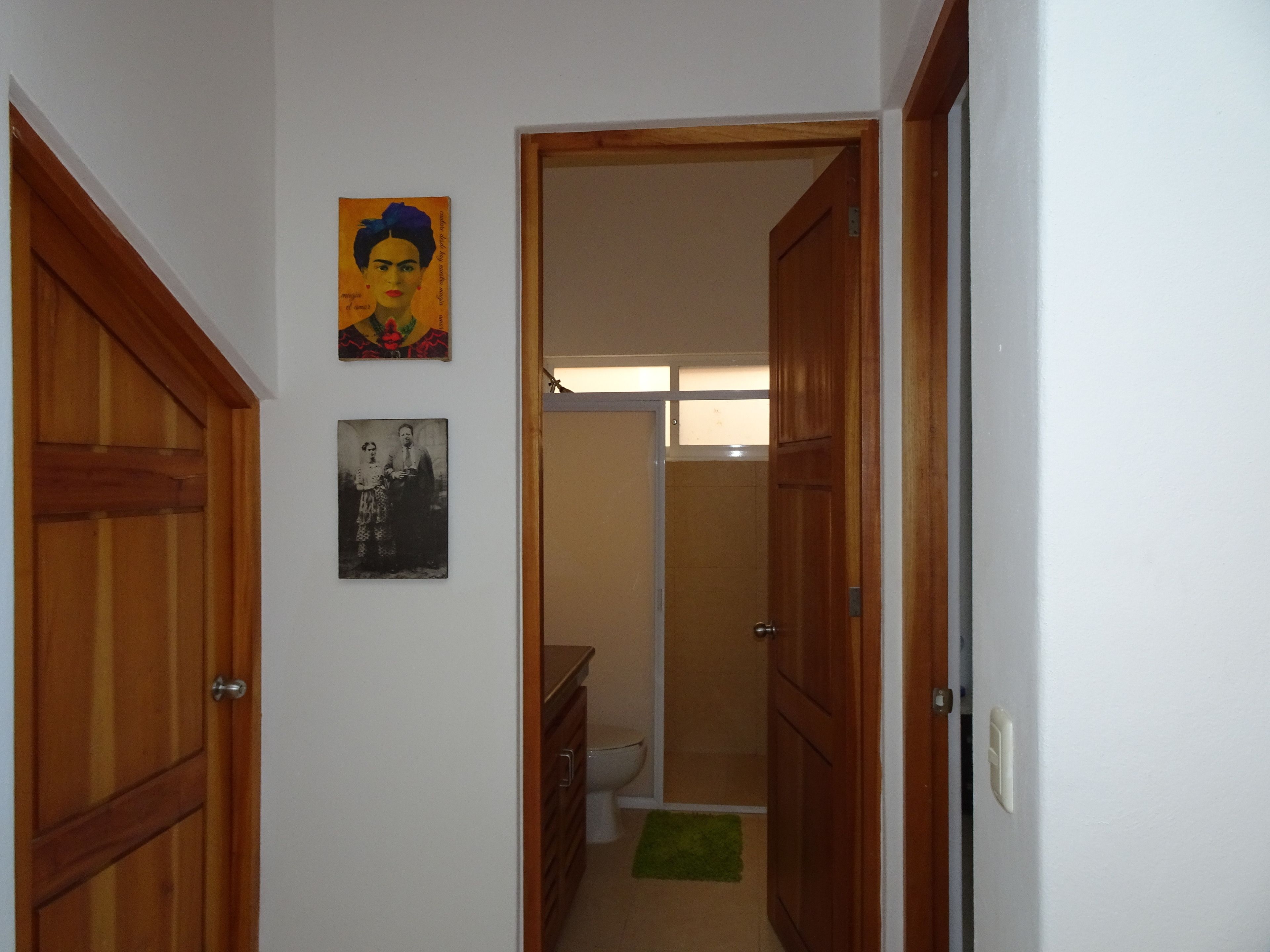 Foto - La Salamandra