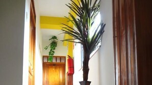 A hallway with a tiled floor, a wooden door at the end, and a large vase with a plant. - Hostal Ventura Isabel (Iquitos)