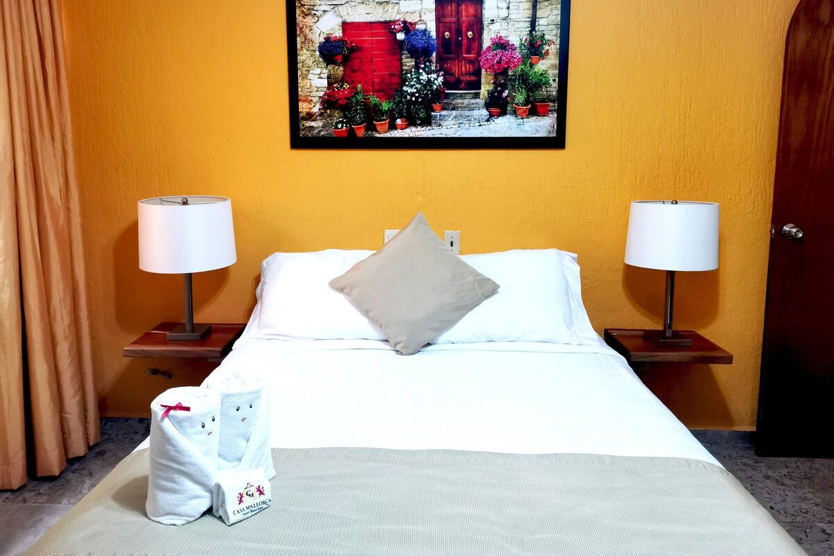 Habitacion Standard, 1 Cama Queen Size | Schreibtisch, Bügeleisen/Bügelbrett, kostenloses WLAN, Bettwäsche