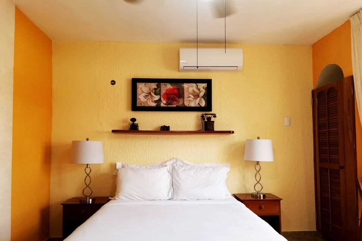 Habitacion Jr Suite, 1 Cama Queen Size | Schreibtisch, Bügeleisen/Bügelbrett, kostenloses WLAN, Bettwäsche