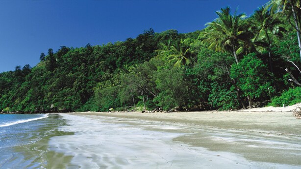 A beach with clear blue water, sandy shore, and dense green foliage. - Riviera Mackay (Mackay)