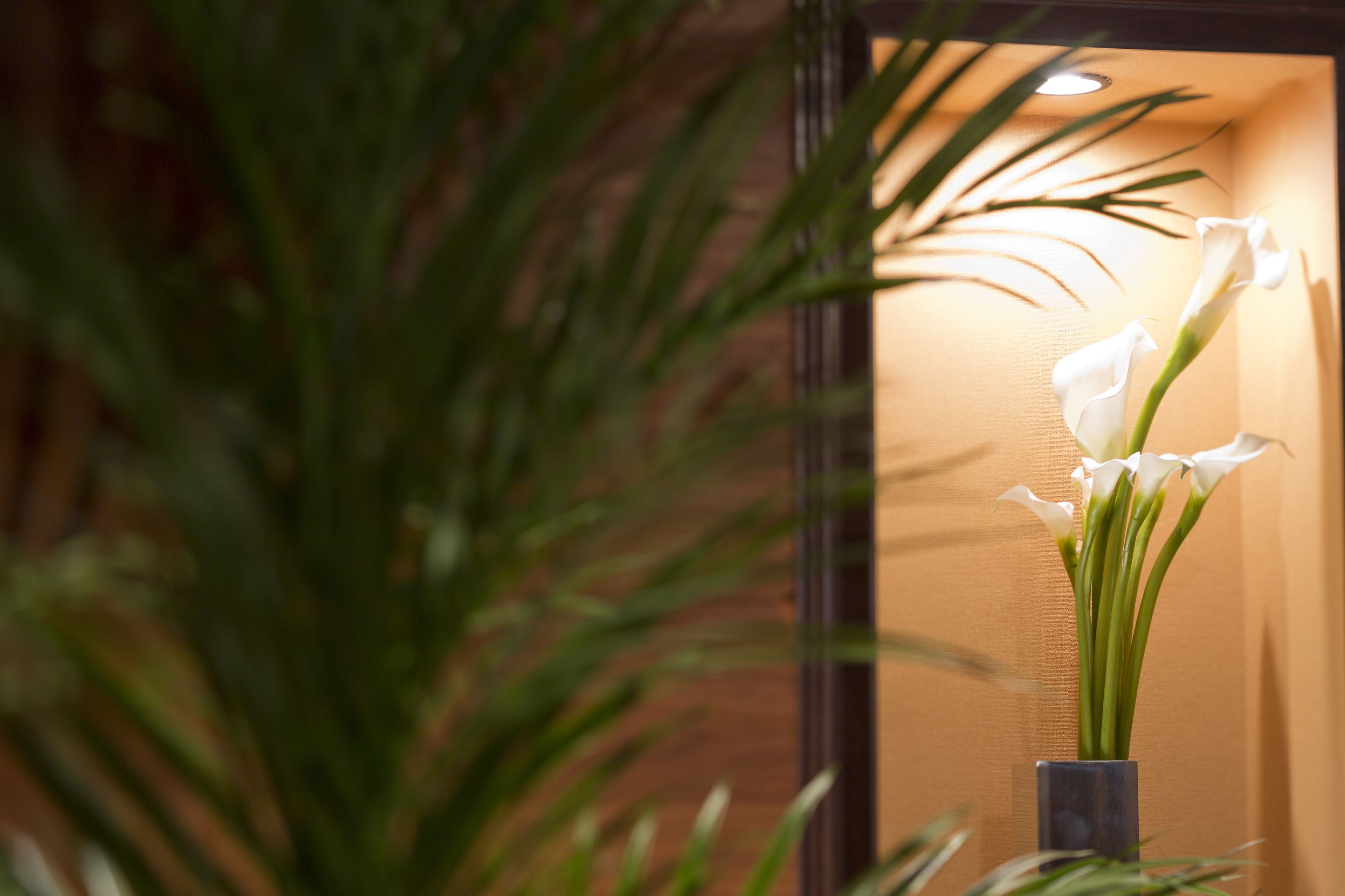 A white flower arrangement in a vase on a table.
