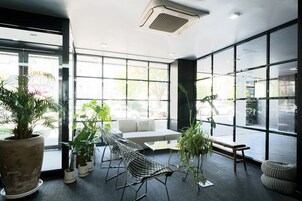 Un interior moderno con un sofá, sillas y plantas en macetas.