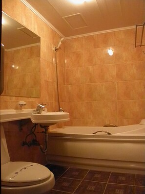 Combined shower/tub, free toiletries, hair dryer