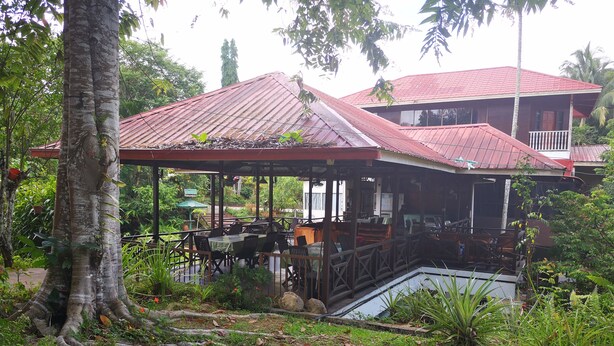 A covered outdoor seating area with tables and chairs, surrounded by lush greenery and a large tree. - Slagon Homestay (Ranau)