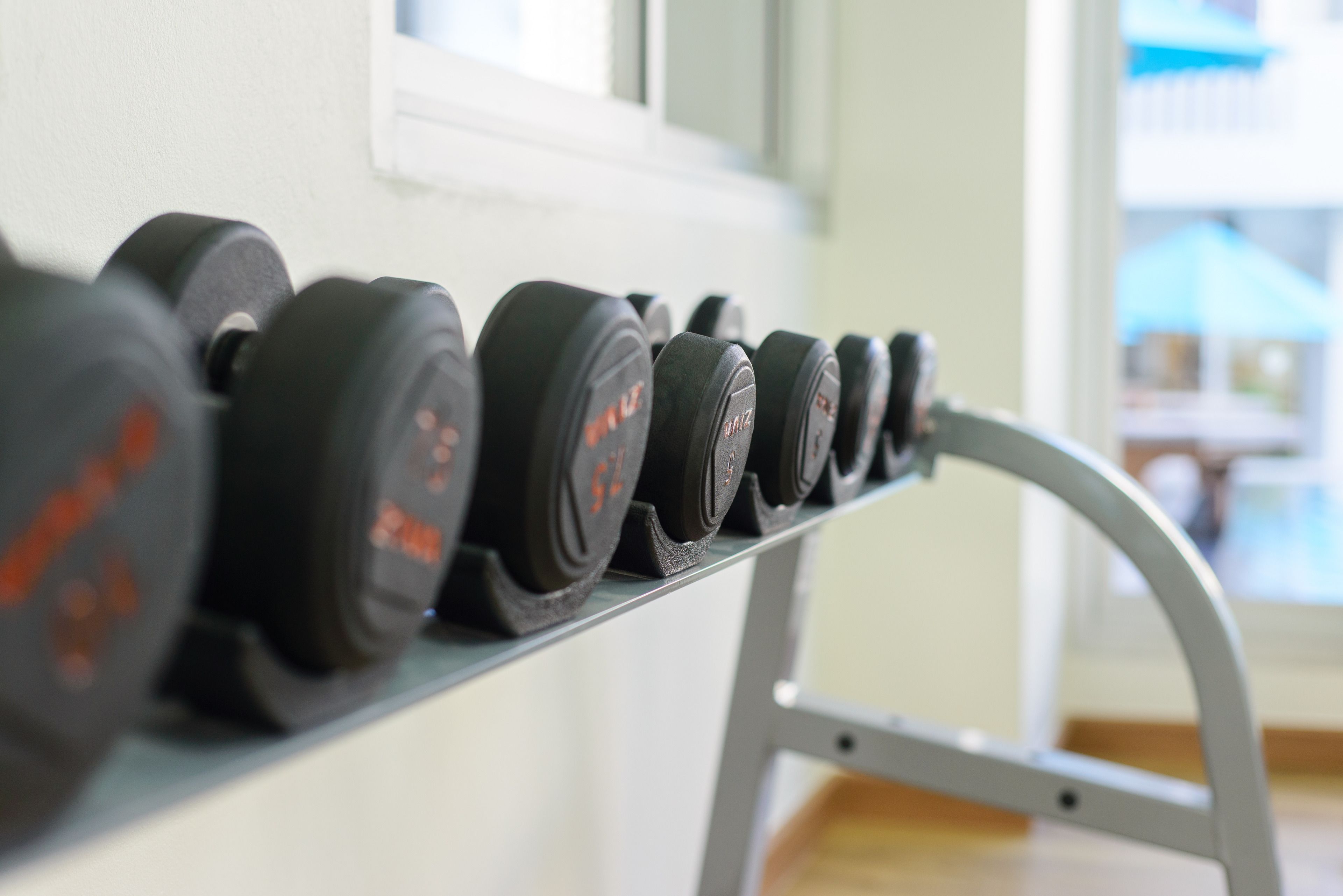 A row of black dumbbells on a rack with weight markings.