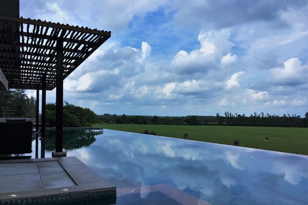 Outdoor pool, pool umbrellas, sun loungers