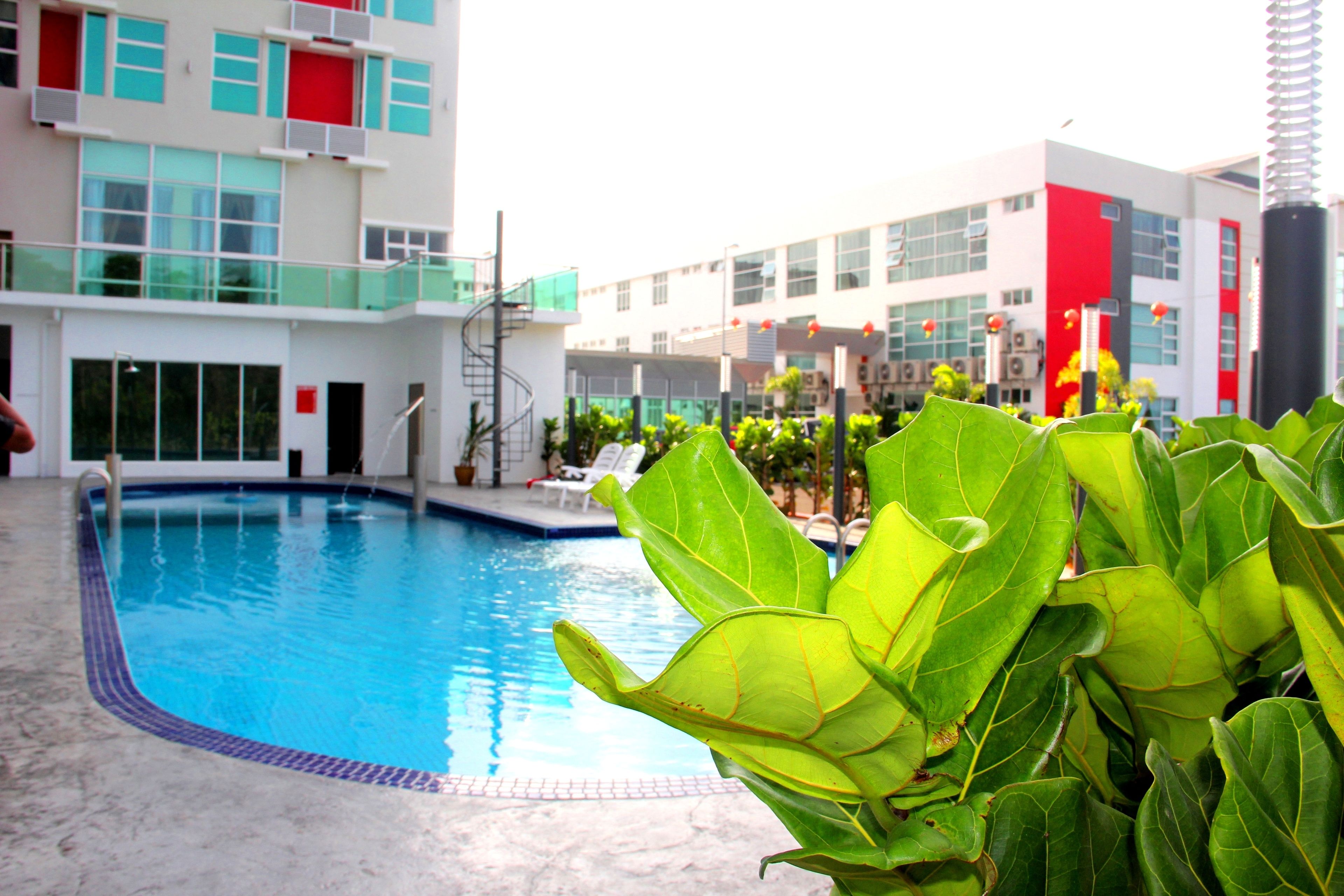 A swimming pool with a tiled edge, surrounded by lounge chairs and potted plants.