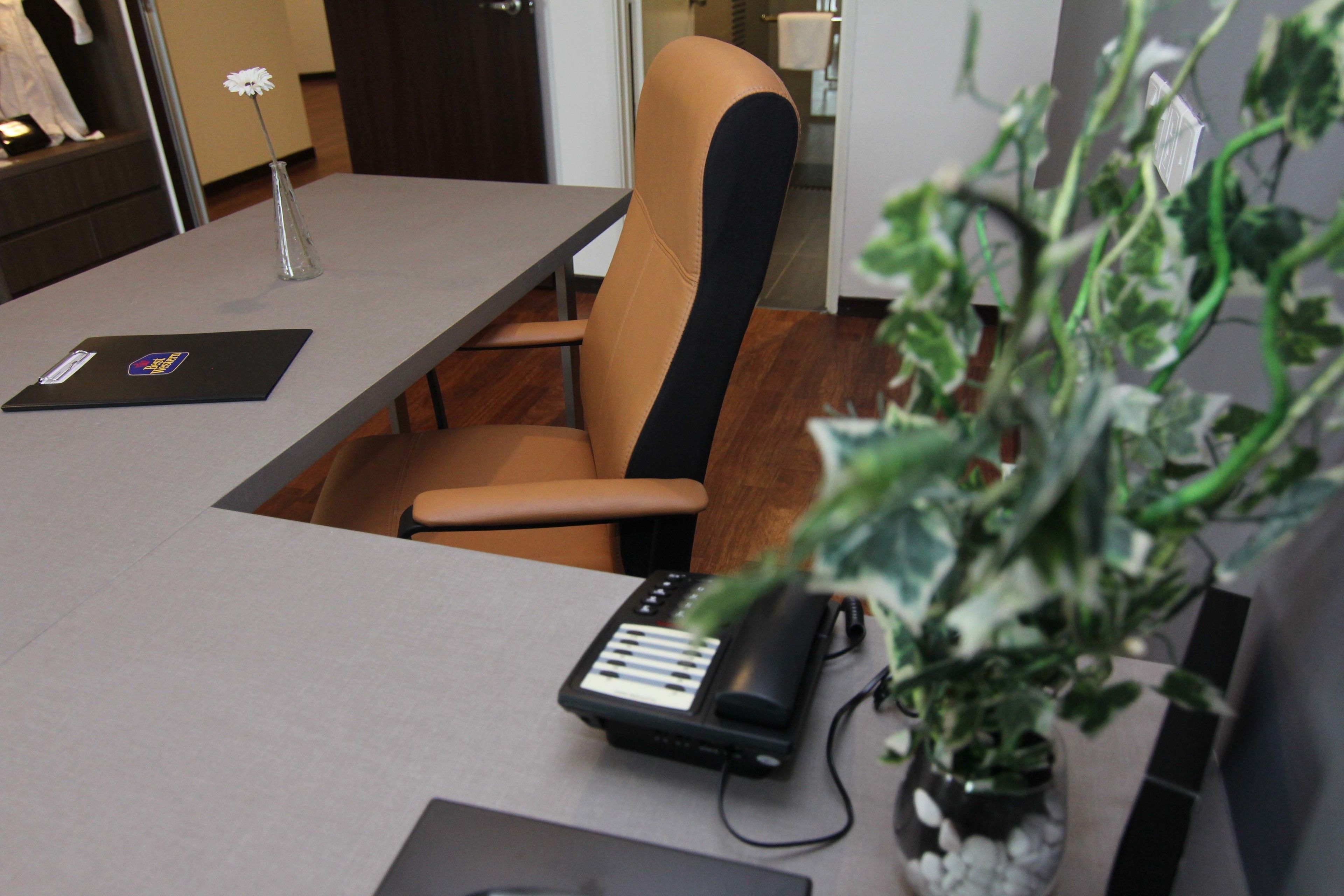 A conference room with a table, a laptop, a keyboard, and a potted plant.