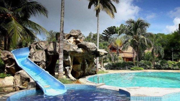 Un espace piscine doté d’un toboggan aquatique, de palmiers et d’un paysage rocheux.