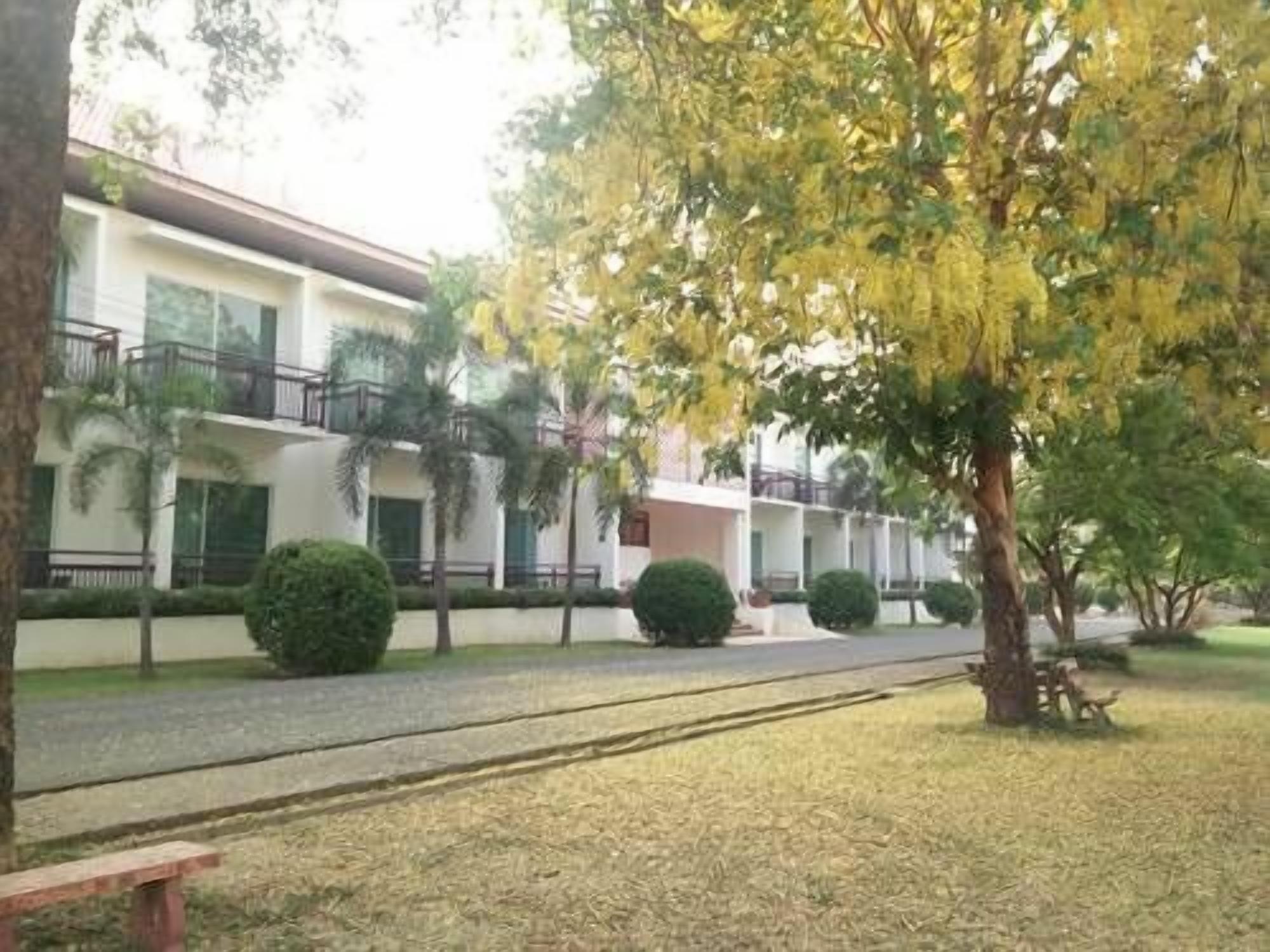 A courtyard with a pathway, palm trees, and a building with balconies.