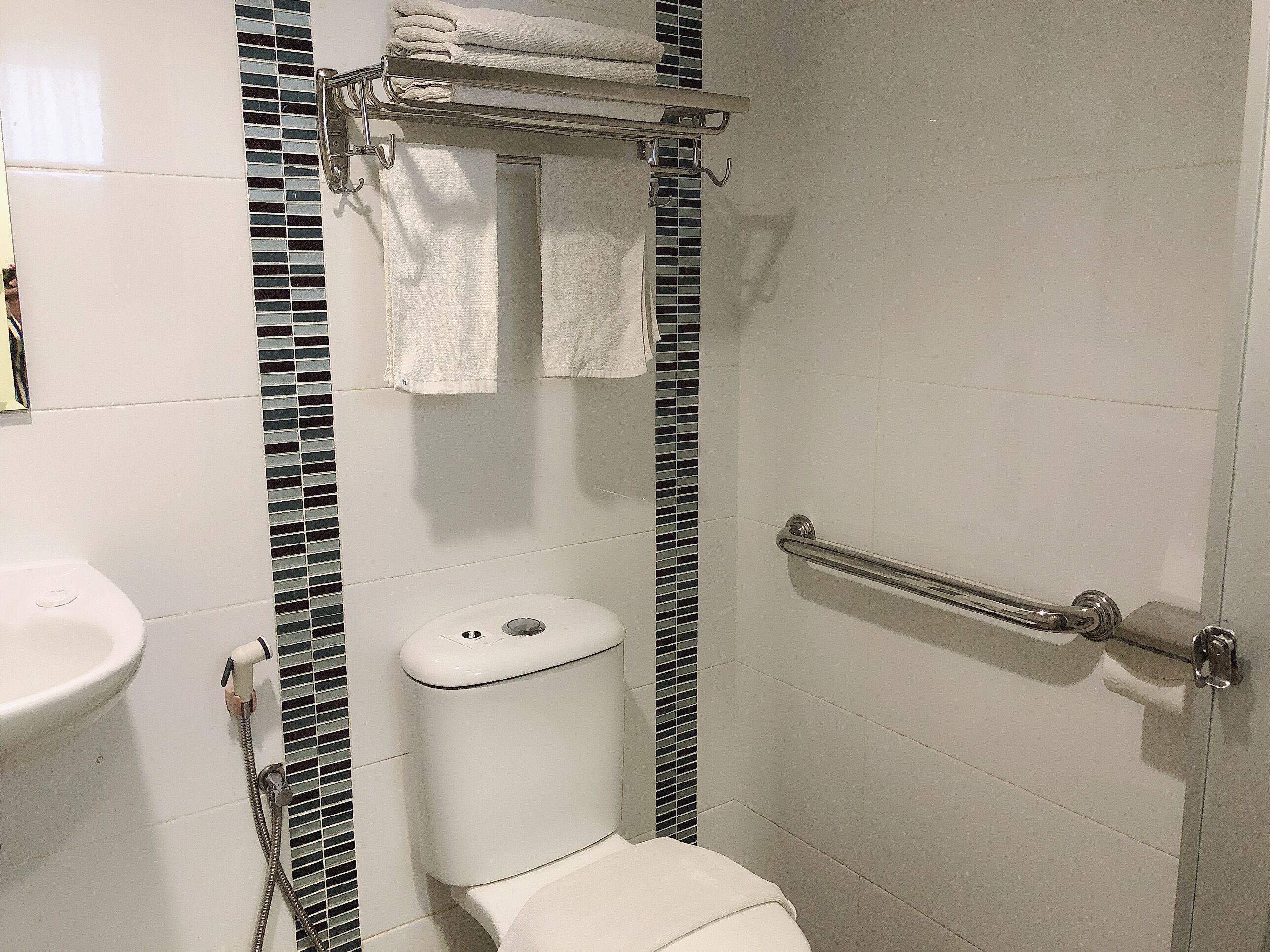 A bathroom with a toilet, a sink, a shower with a grab bar, and a towel rack.