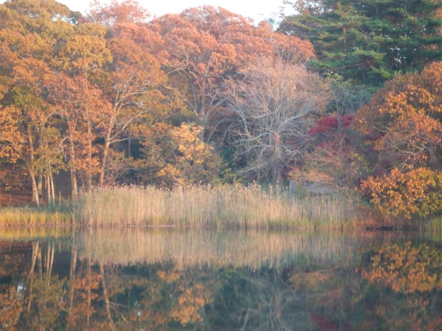 Uitzicht vanuit accommodatie