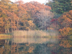Un paisaje sereno con un cuerpo de agua tranquilo que refleja árboles con follaje otoñal.