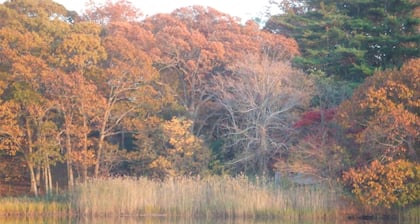 House on Chase Creek