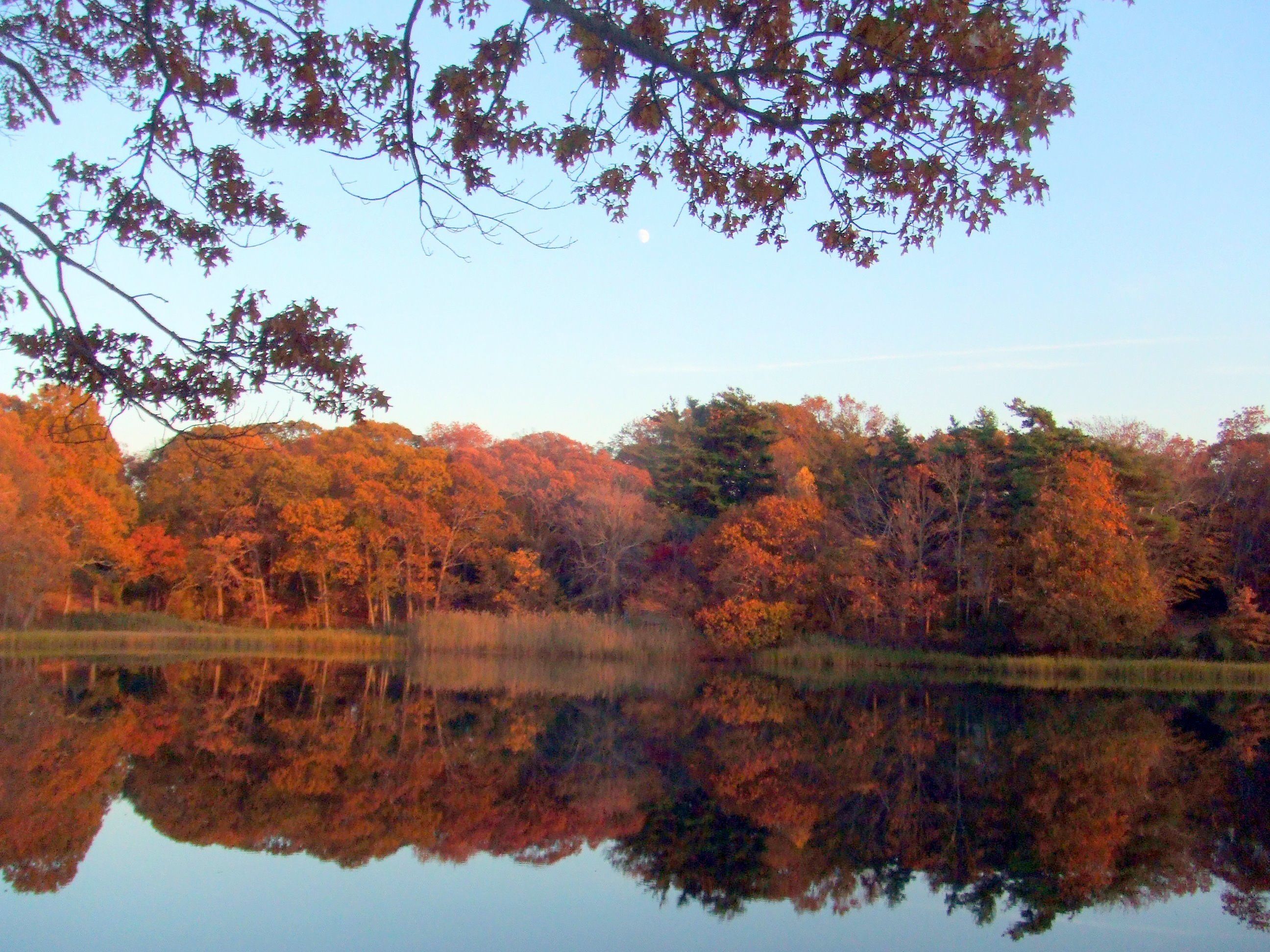 A calm lake reflecting trees with autumn foliage.