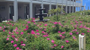 Un hotel con varios balcones y un jardín lleno de flores rosadas.