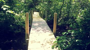 A wooden boardwalk through a forest.