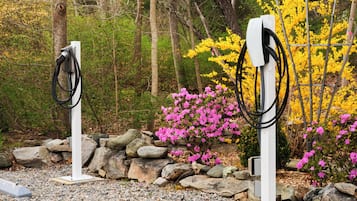 Borne de recharge pour véhicule électrique