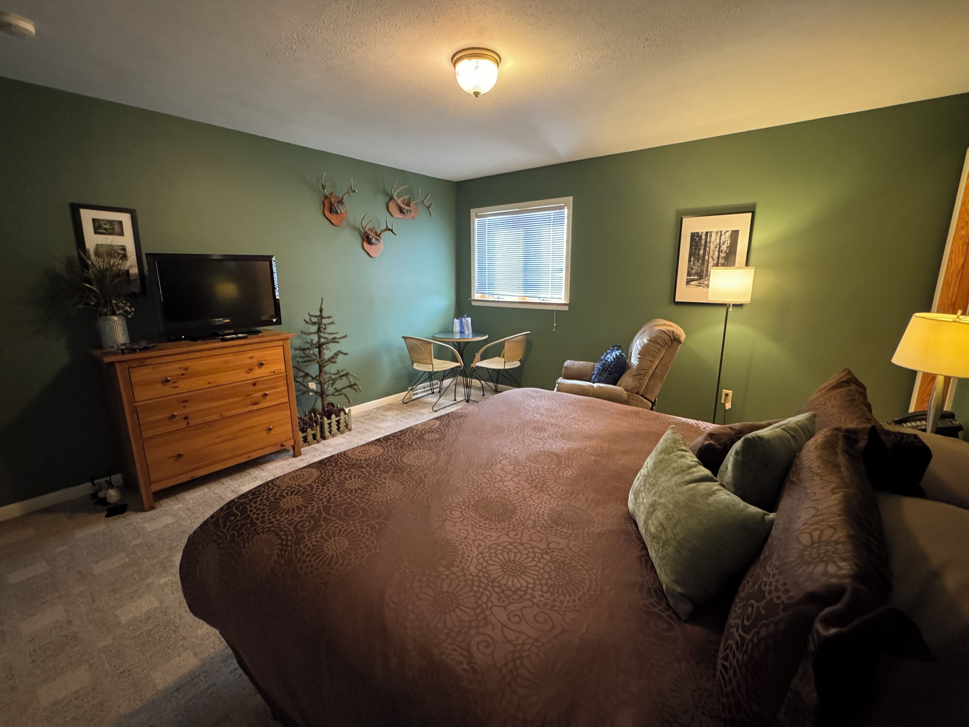 Room | Iron/ironing board, free WiFi