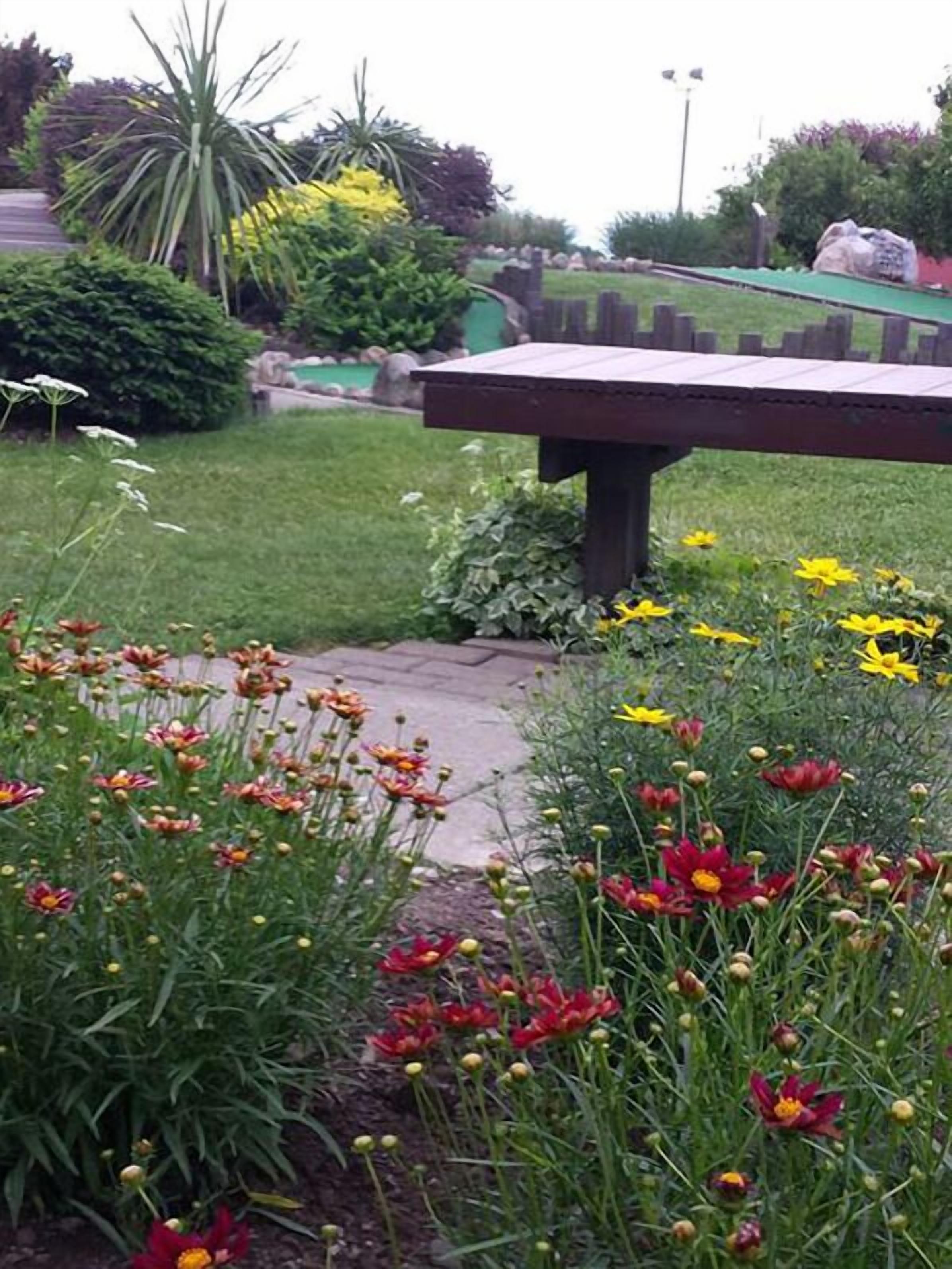Un jardín con un banco de madera rodeado de diversas flores y plantas.