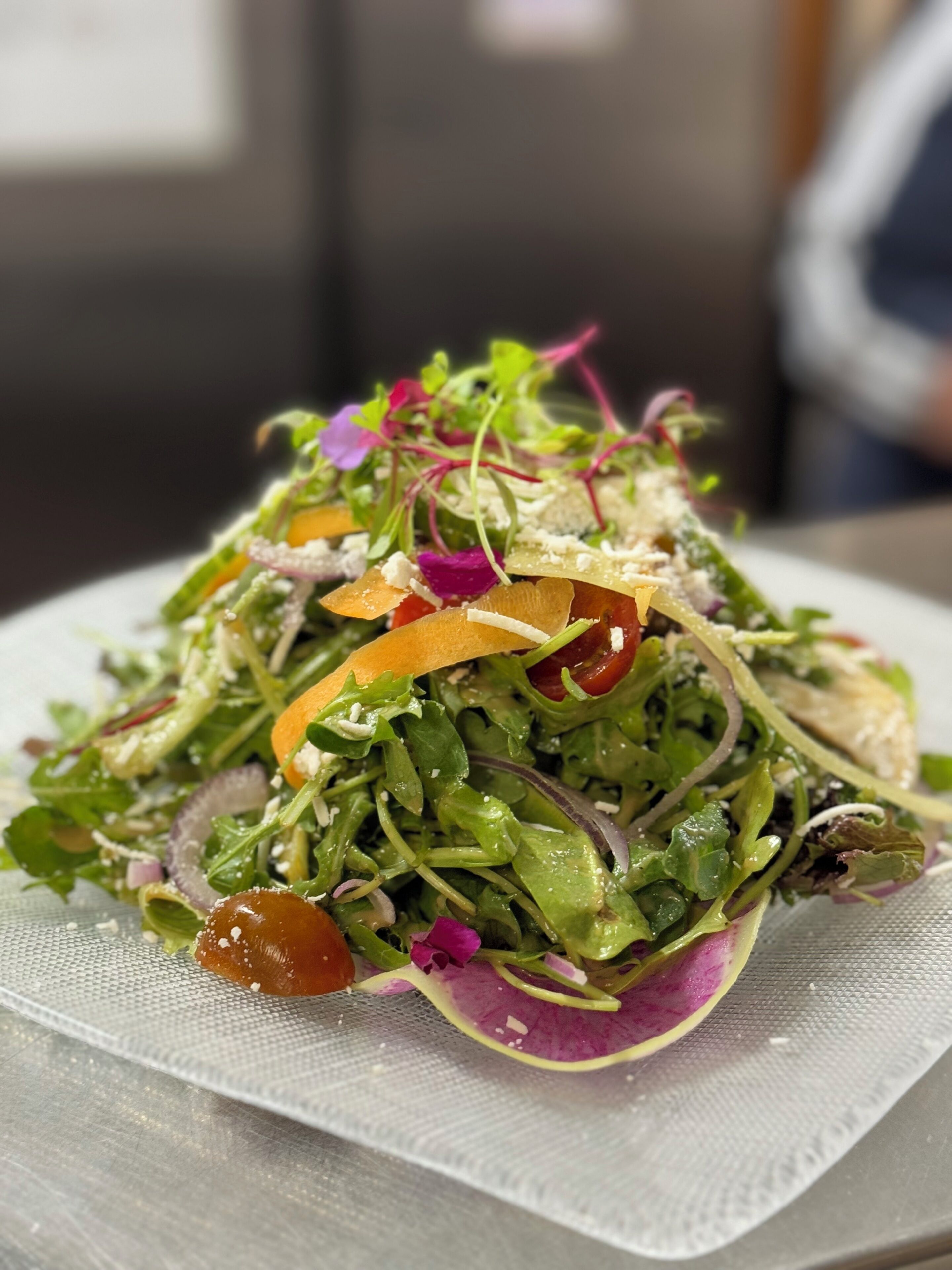 Une salade composée de différentes variétés de feuilles vertes, de feuilles violettes et de tranches d’orange, le tout présenté dans une assiette blanche.