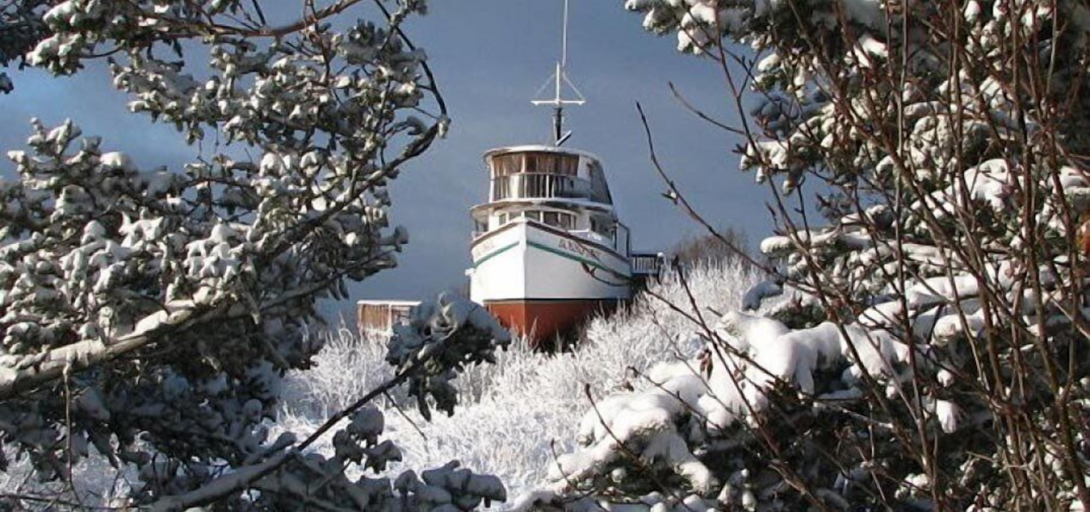 A boat docked in a snowy area with overgrown vegetation around it.