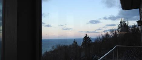 Une vue depuis un balcon donnant sur une zone boisée, avec un plan d’eau visible au loin.