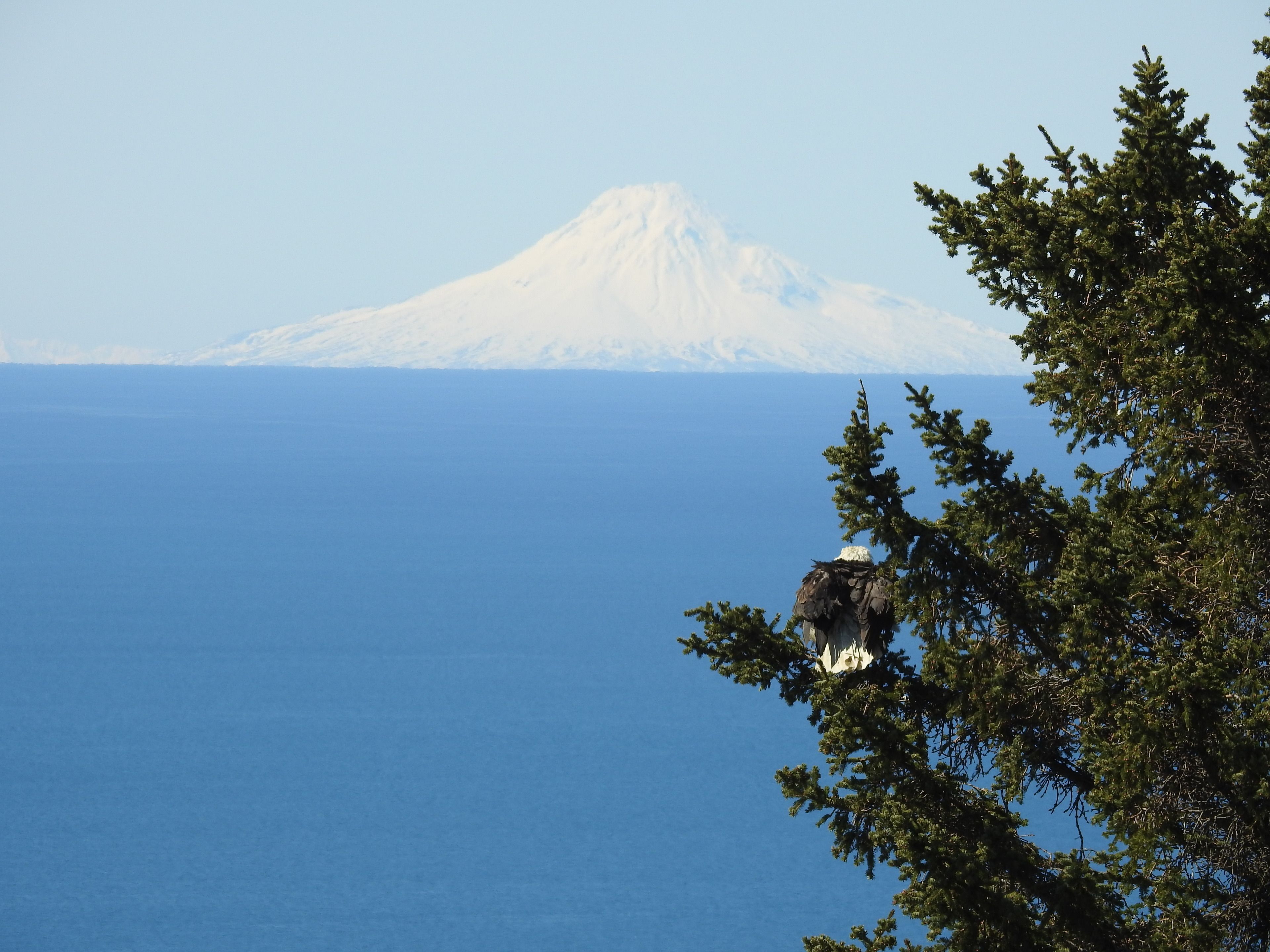 A snowy mountain with a clear view of the ocean.