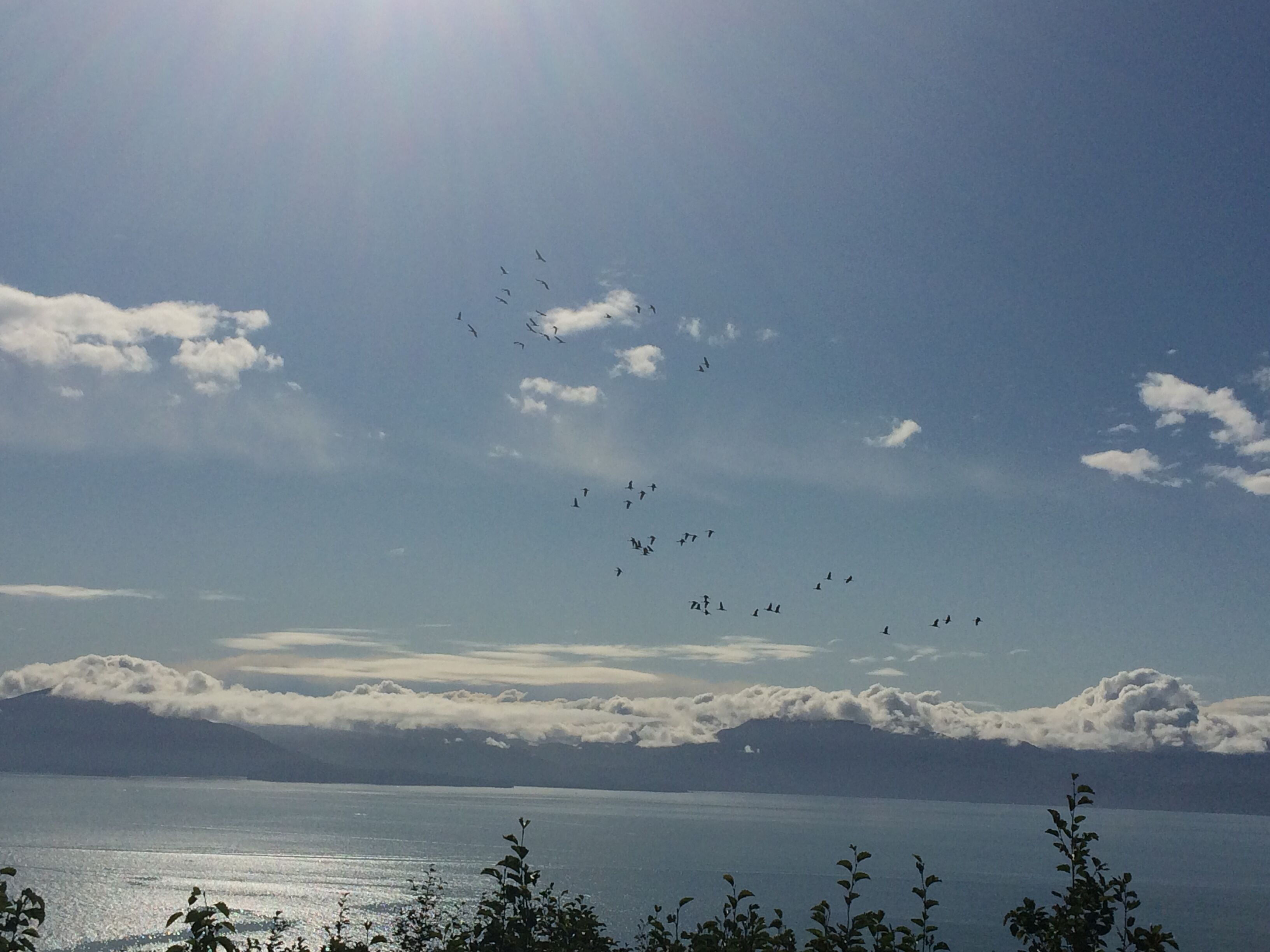A clear view of a lake with mountains in the background and birds flying in the sky.