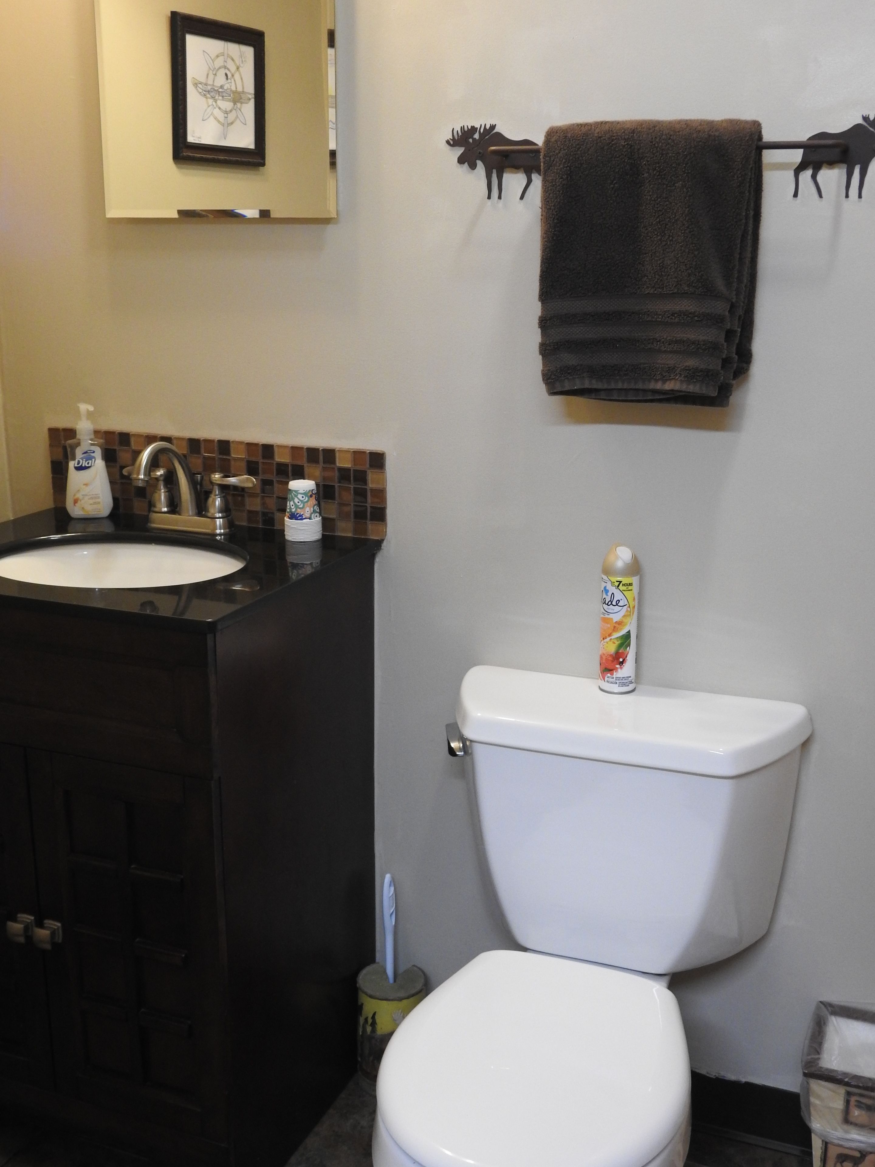 A bathroom with a sink, toilet, and a towel rack.