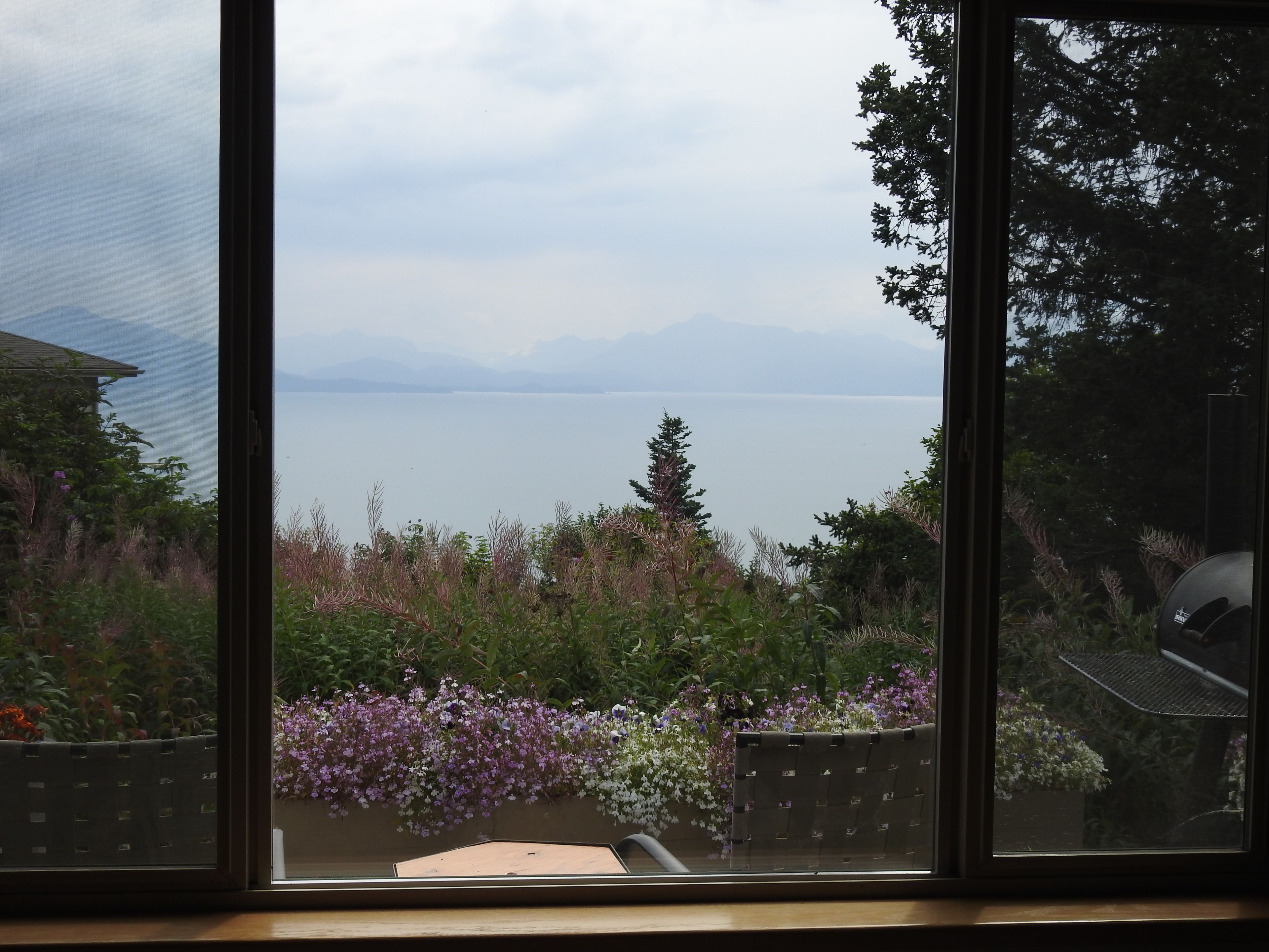 Moose Caboose Upstairs | View from room