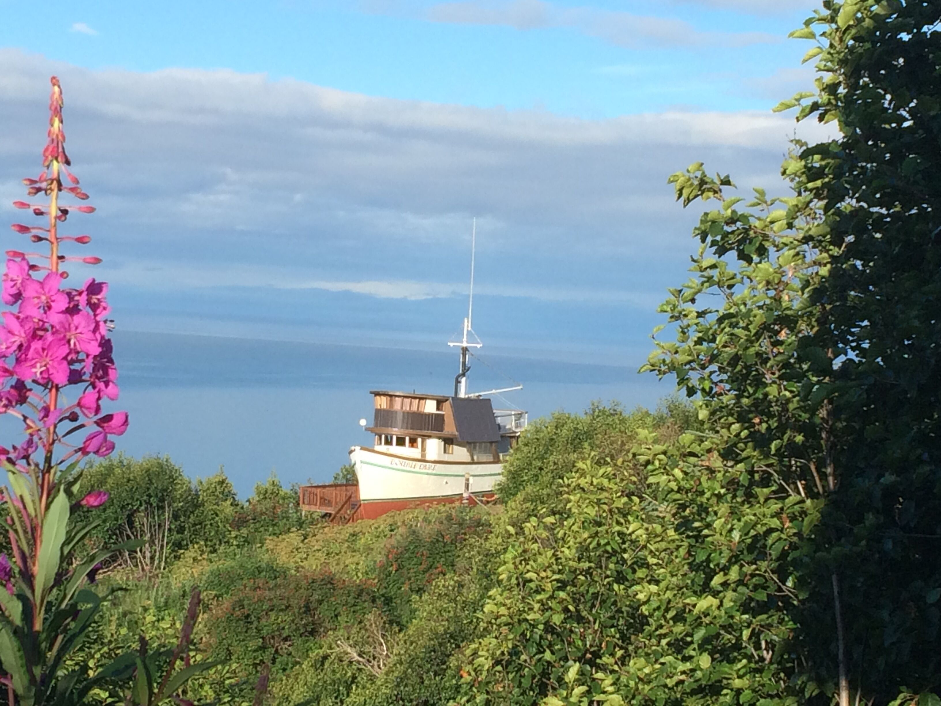 A boat docked near a coastline with lush greenery and a clear sky.