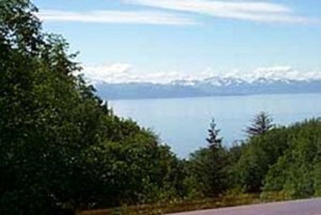 Une route bordée d’un côté par une végétation luxuriante et offrant de l’autre une vue dégagée sur une chaîne de montagnes et une étendue d’eau au loin.